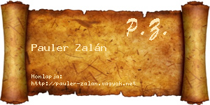 Pauler Zalán névjegykártya